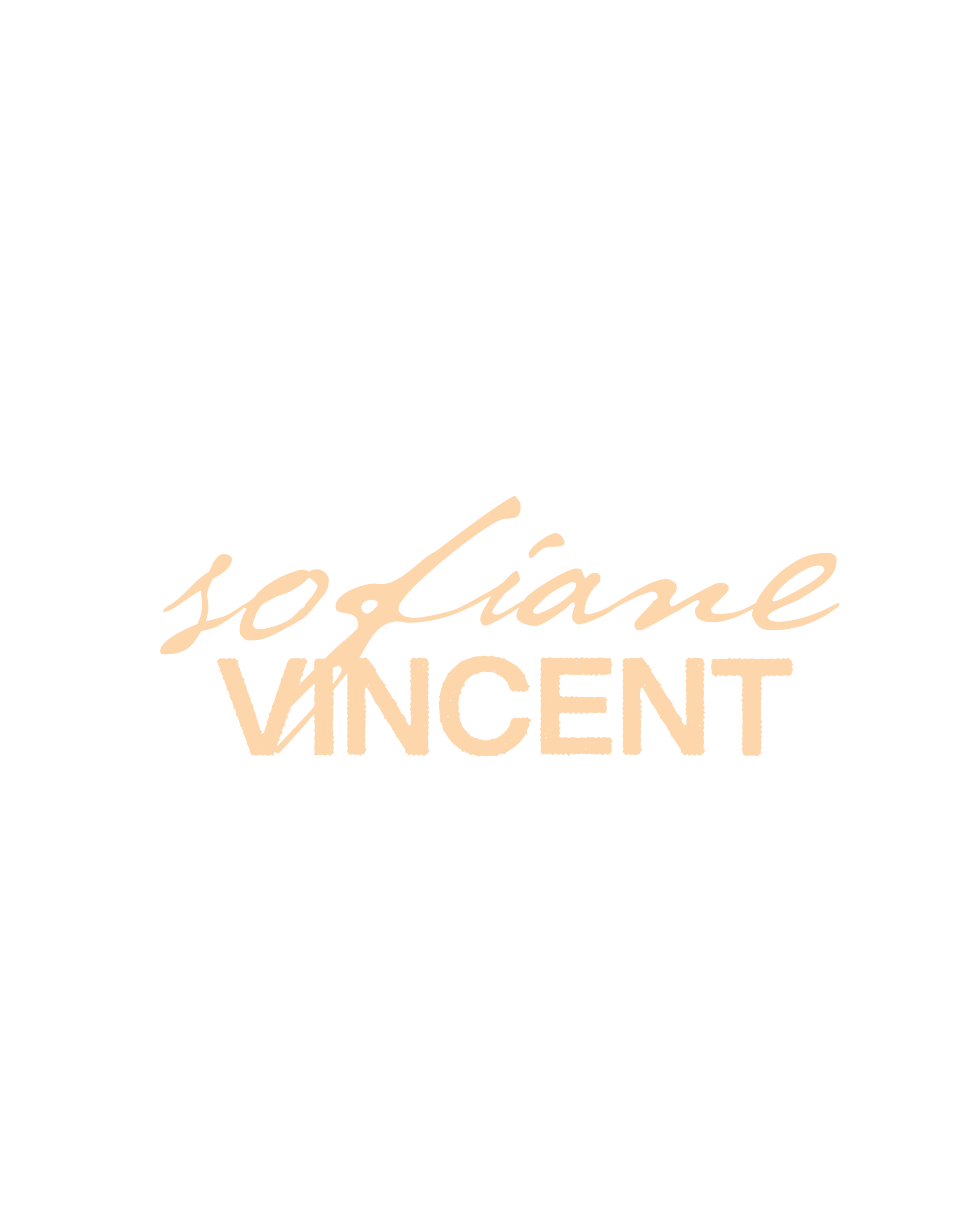 sofianevincent.com